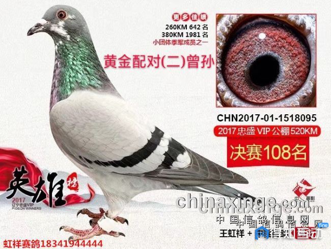 20180904163340500.jpg