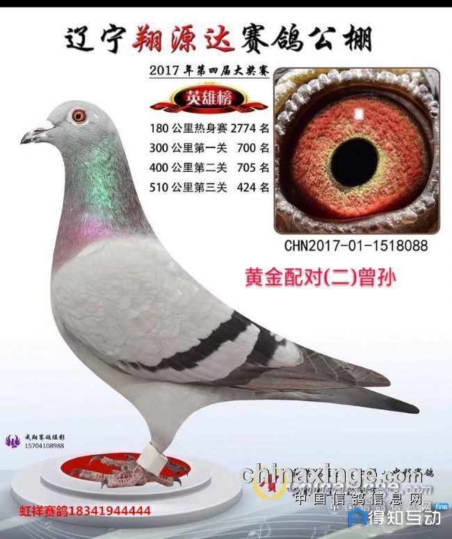 20180904163355603.jpg